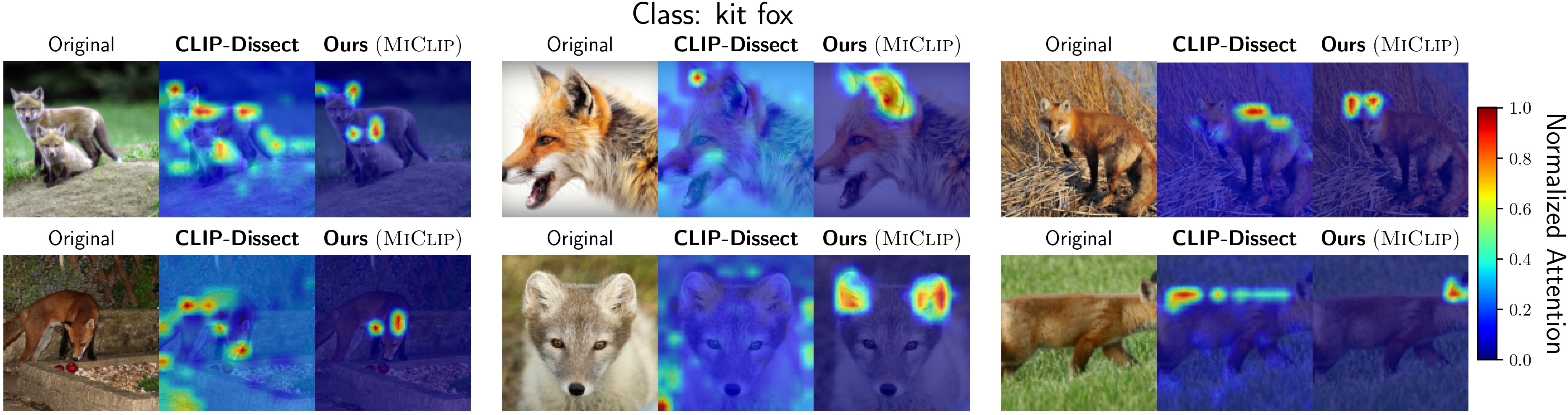 Top attention map visualization