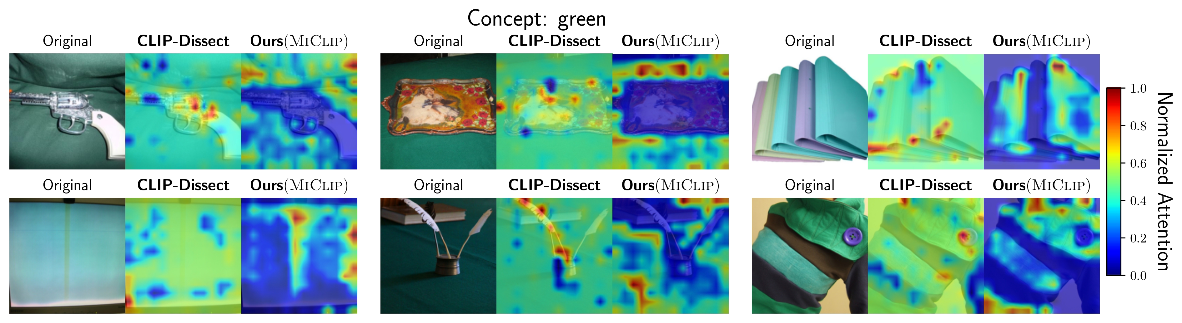 Bottom attention map visualization